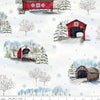 Covered Bridges in Winter