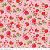 The World of Strawberry Shortcake